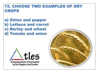 72. CHOOSE TWO EXAMPLES OF DRY
CROPS
a) Onion and pepper
b) Lettuce and carrot
c) Barley and wheat
d) Tomato and onion
 