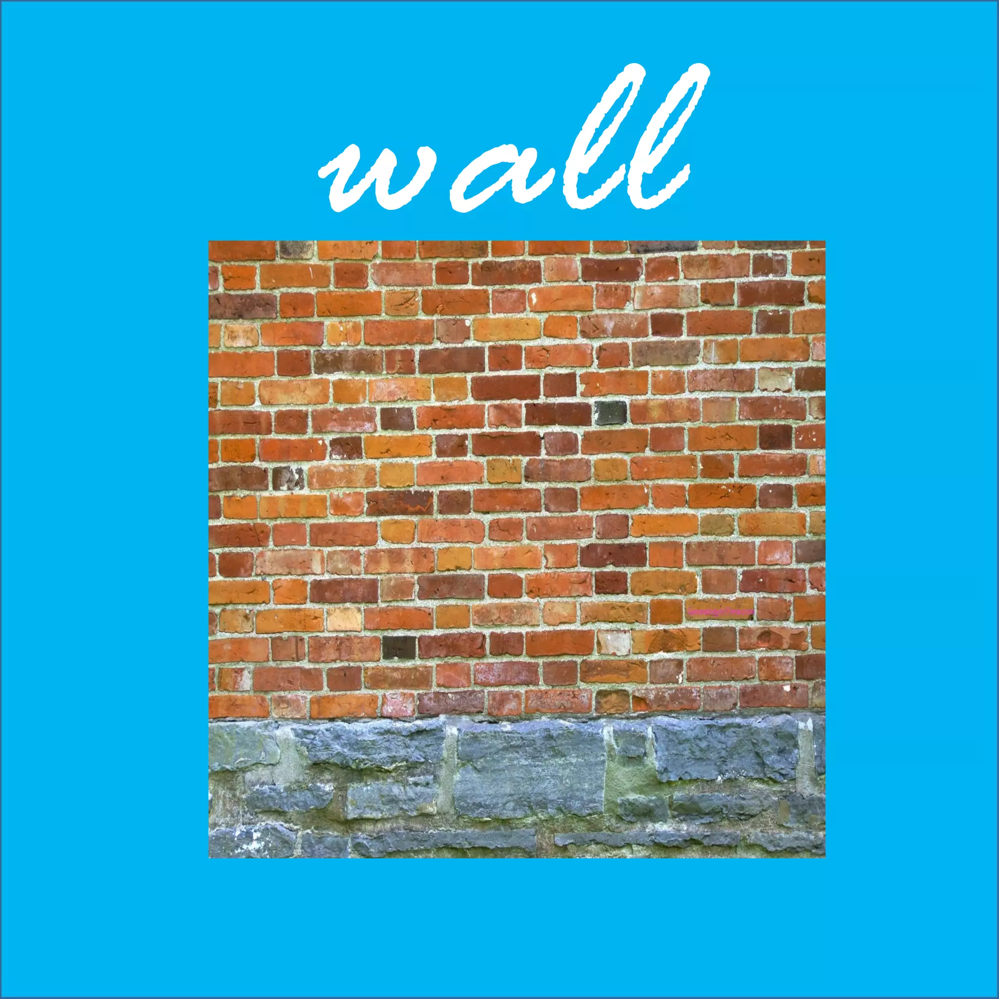 Let’s learn new vocabulary | PPT