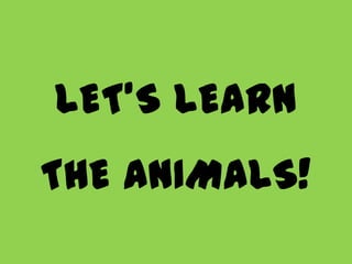 LET’S LEARN
THE ANIMALS!
 