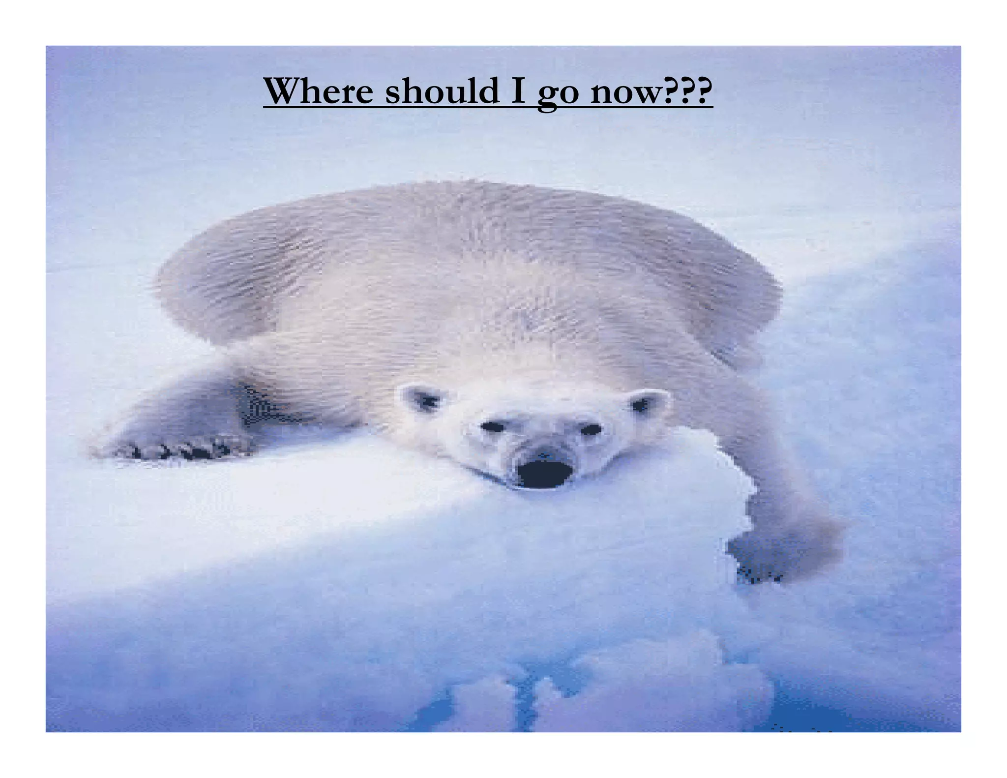 Where should I go now???
 