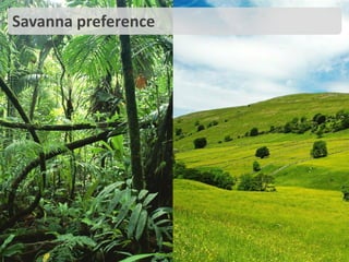 1. Can you please tell me
what is the price for
Canon 1000D?
2. Can you please find the
differences between
Nokia S500 and Nokia
S600?
3. Please add on order for
Dell Latitude 400.
Evaluate navigation design
 