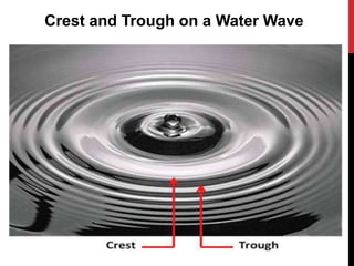 Crest and Trough on a Water Wave
 