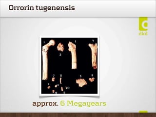 Orrorin tugenensis




      approx. 6 Megayears
 