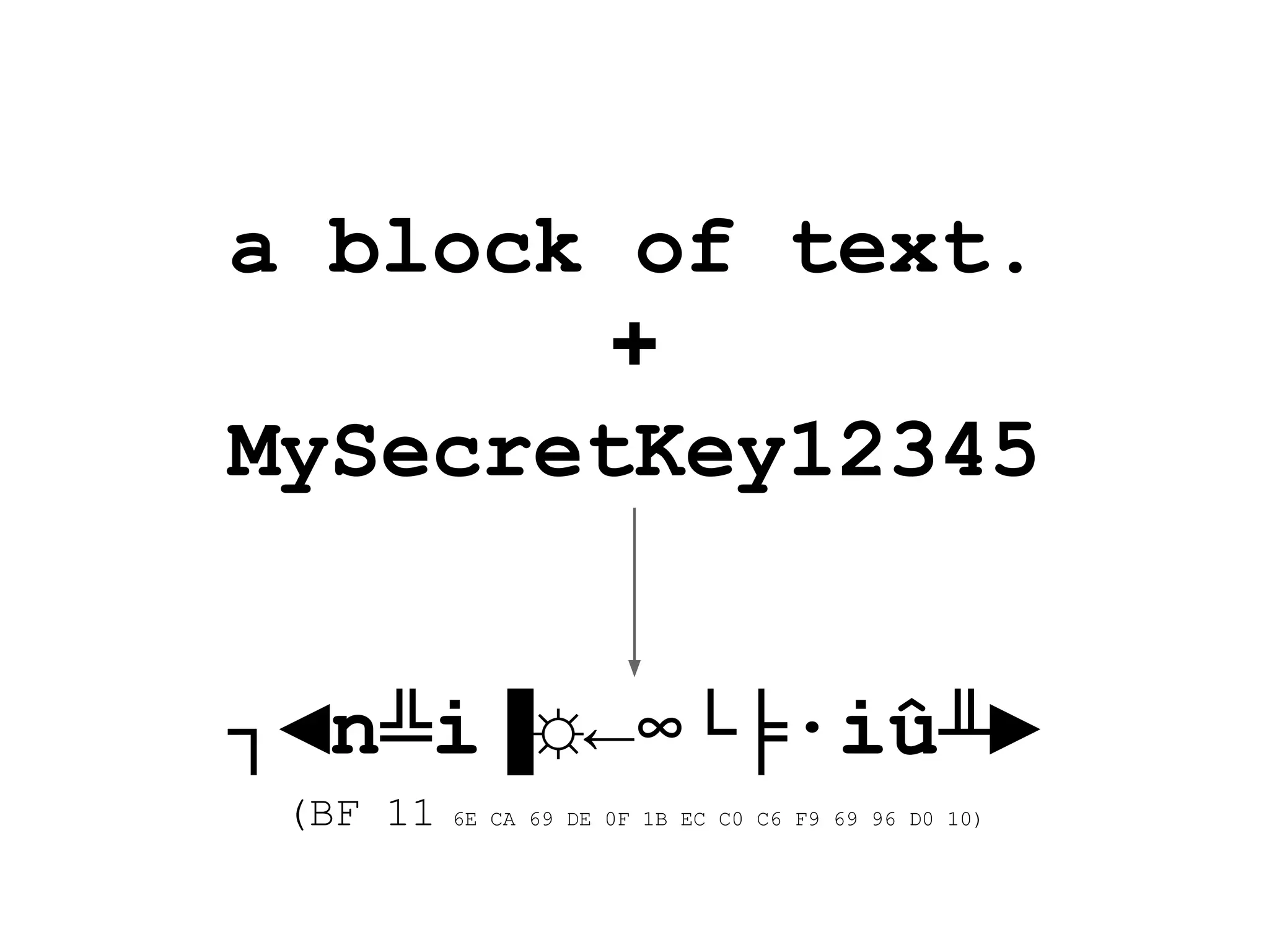 a block of text.
+
MySecretKey12345
┐◄n╩i▐☼←∞└╞∙iû╨►
(BF 11 6E CA 69 DE 0F 1B EC C0 C6 F9 69 96 D0 10)
 