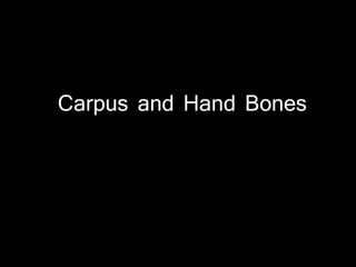 Carpus and Hand Bones
 