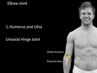 Elbow Joint
1.Humerus and Ulna
Uniaxial Hinge Joint
Distal Humerus
Proximal Ulna
 