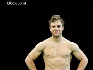 Elbow Joint
 