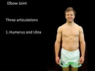 Elbow Joint
Three articulations
1.Humerus and Ulna
 