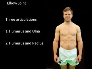 Elbow Joint
Three articulations
1.Humerus and Ulna
2.Humerus and Radius
 