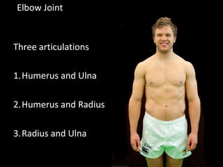 Elbow Joint
Three articulations
1.Humerus and Ulna
2.Humerus and Radius
3.Radius and Ulna
 