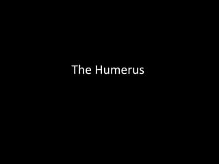 The Humerus
 