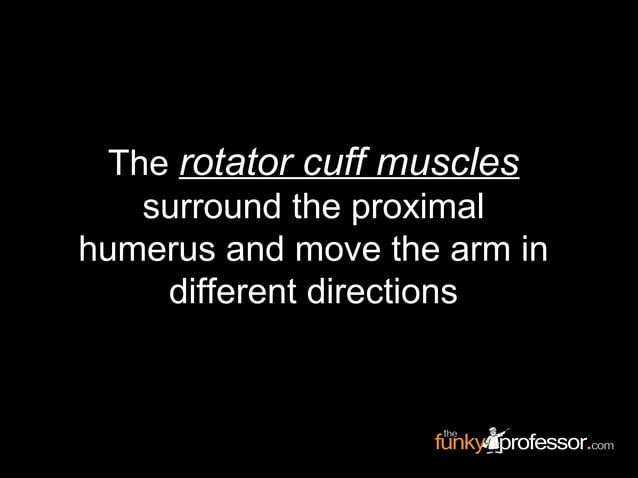 Slideshow: Rotator Cuff | PPT