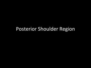 Posterior Shoulder Region
 