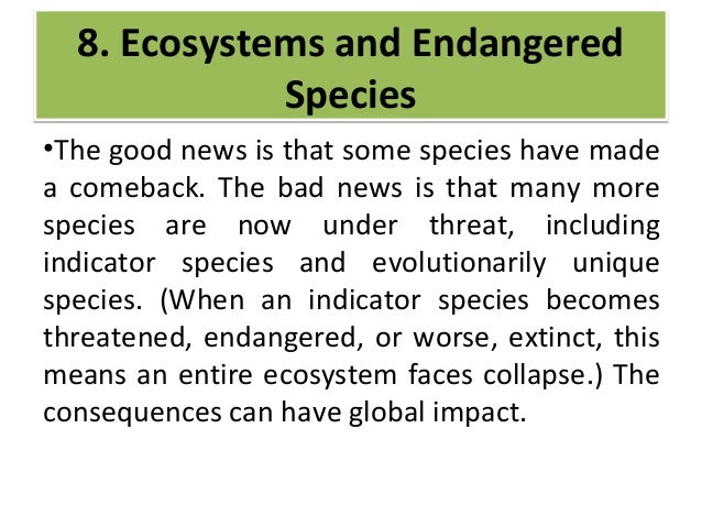 let s talk about environment