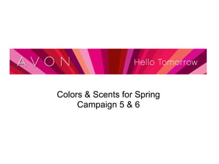 Colors & Scents for Spring
     Campaign 5 & 6
 
