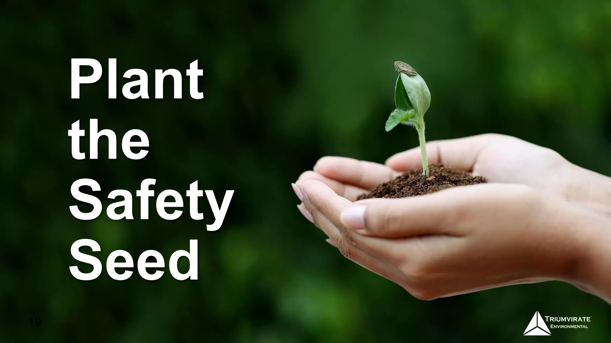 Plant
the
Safety
Seed
19
 