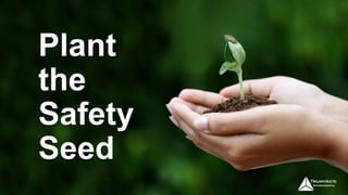 Plant
the
Safety
Seed
19
 
