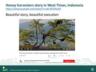 Honey harvesters story in West Timor, Indonesia
https://www.youtube.com/watch?v=qR-WFOYju94
Beautiful story, beautiful execution
 
