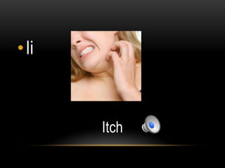•Ii



      Itch
 