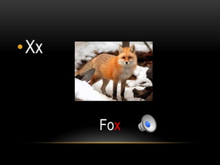 •Xx



      Fox
 