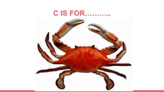 C IS FOR………..
 