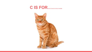 C IS FOR………..
 