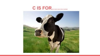 C IS FOR………..
 