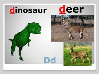 Dd
dinosaur deer
 