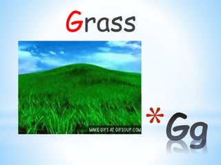 *
Grass
 