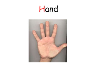 Hand