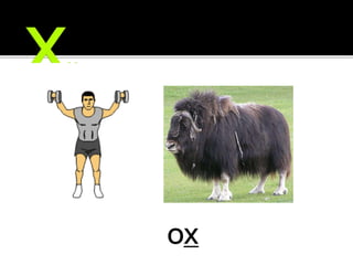 EXERCISE
OX
 