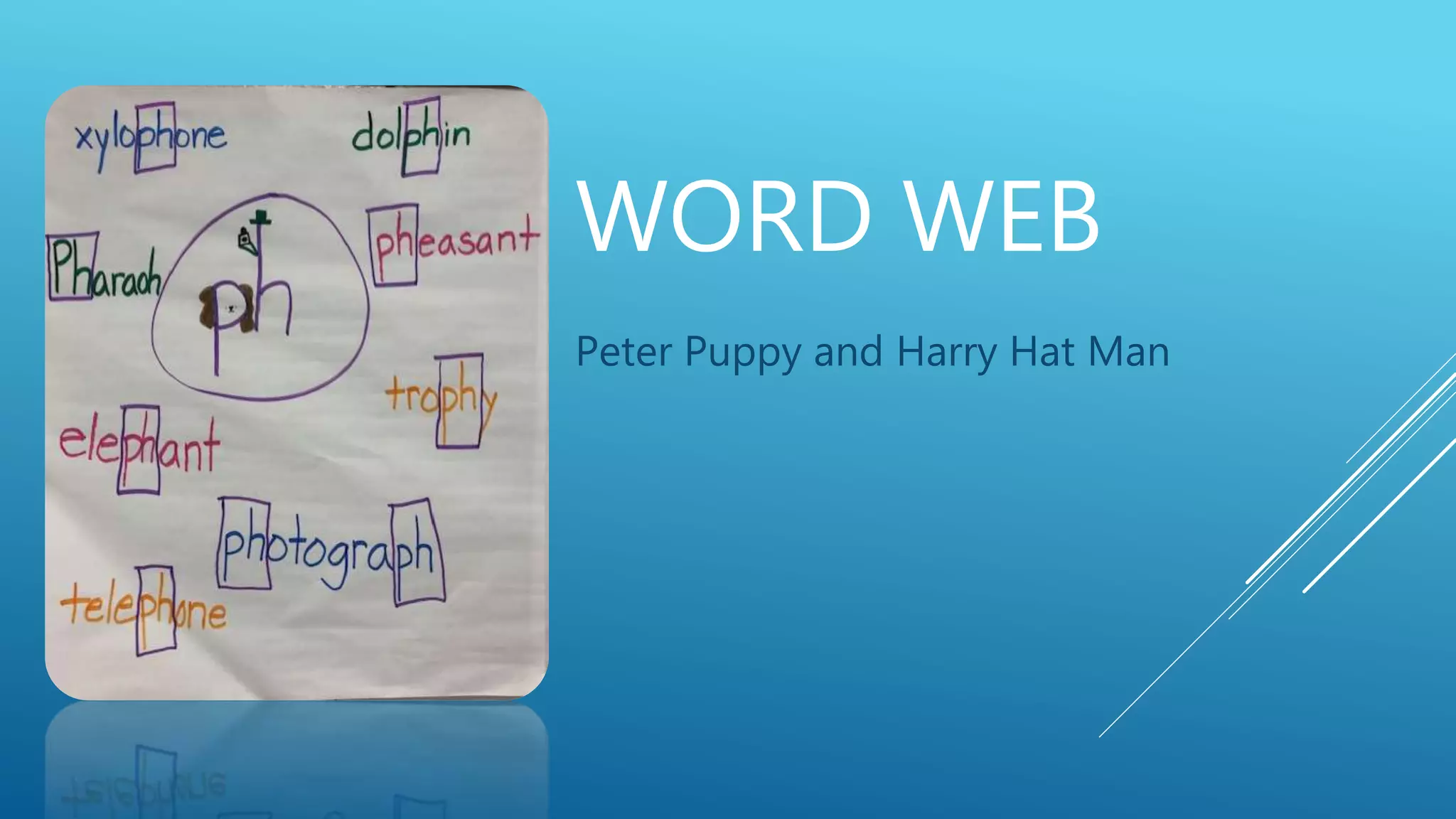 WORD WEB
Peter Puppy and Harry Hat Man