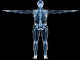 Alphabetical letters for KG