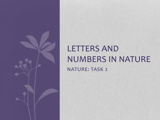 LETTERS AND
NUMBERS IN NATURE
NATURE: TASK 2

 