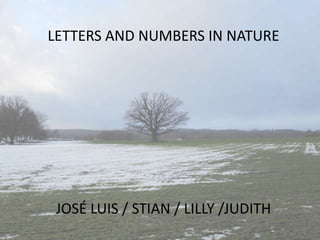 LETTERS AND NUMBERS IN NATURE
JOSÉ LUIS / STIAN / LILLY /JUDITH
 