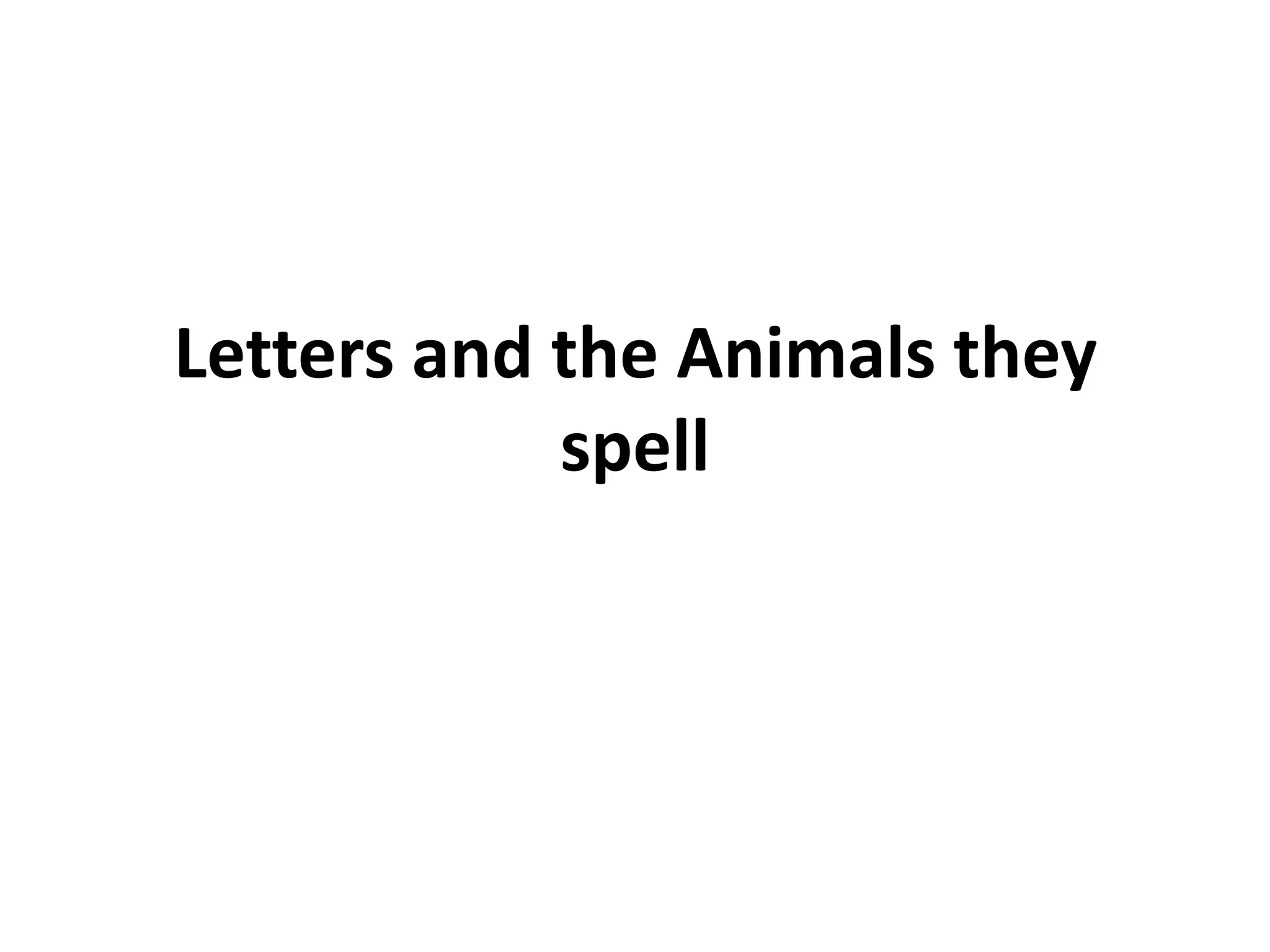 They Letters Letters and the animals they spell | PPTX