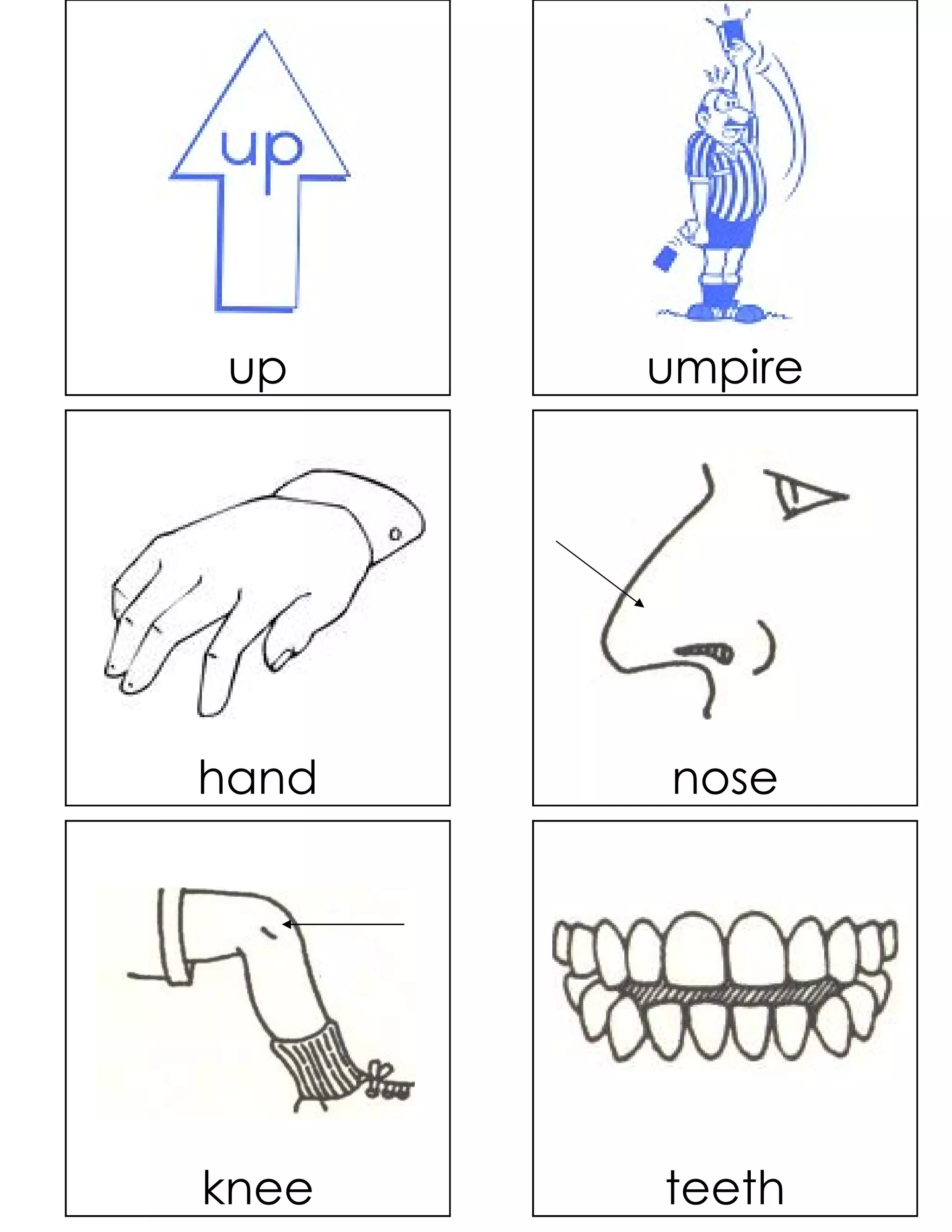 up    umpire




hand   nose




knee   teeth
 