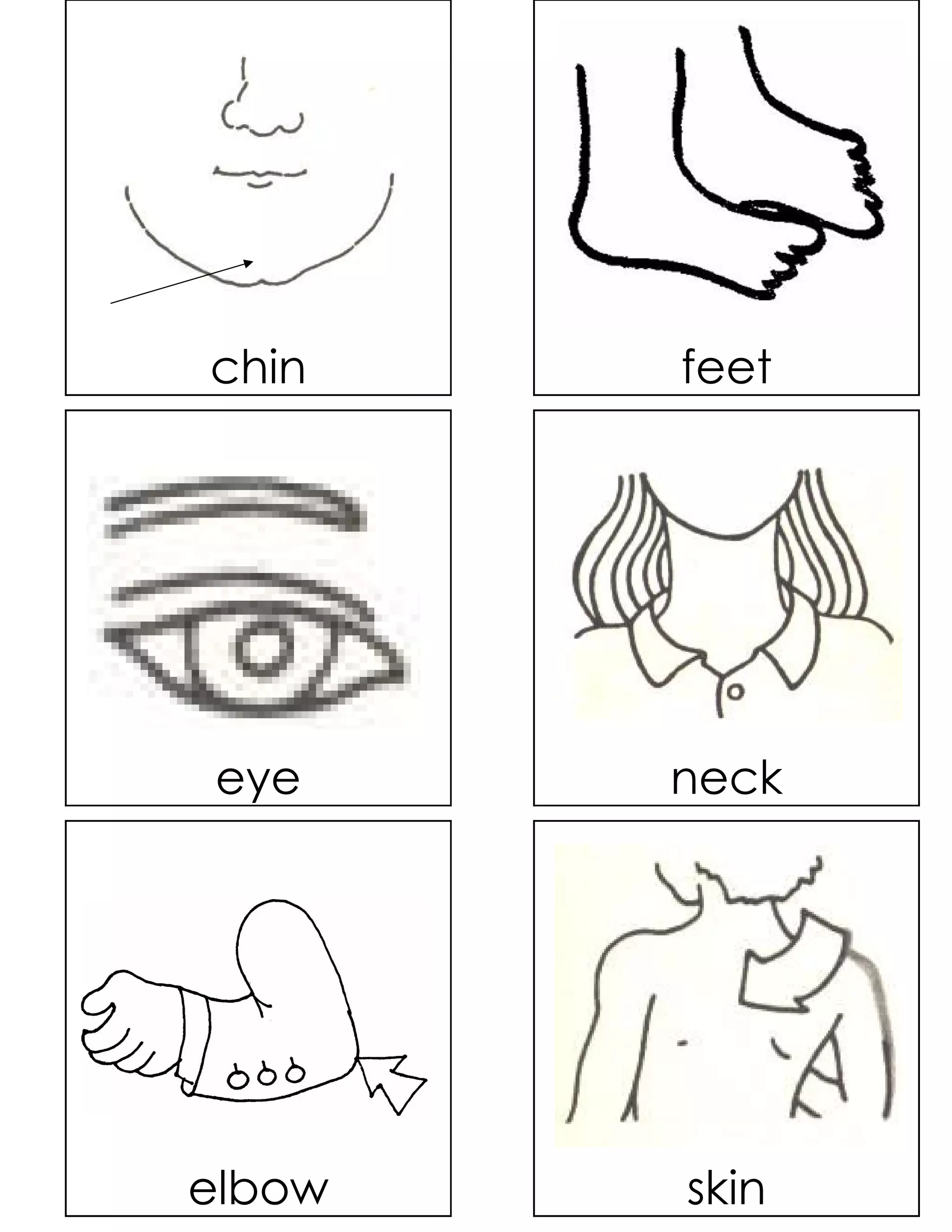 chin    feet




eye     neck




elbow   skin
 
