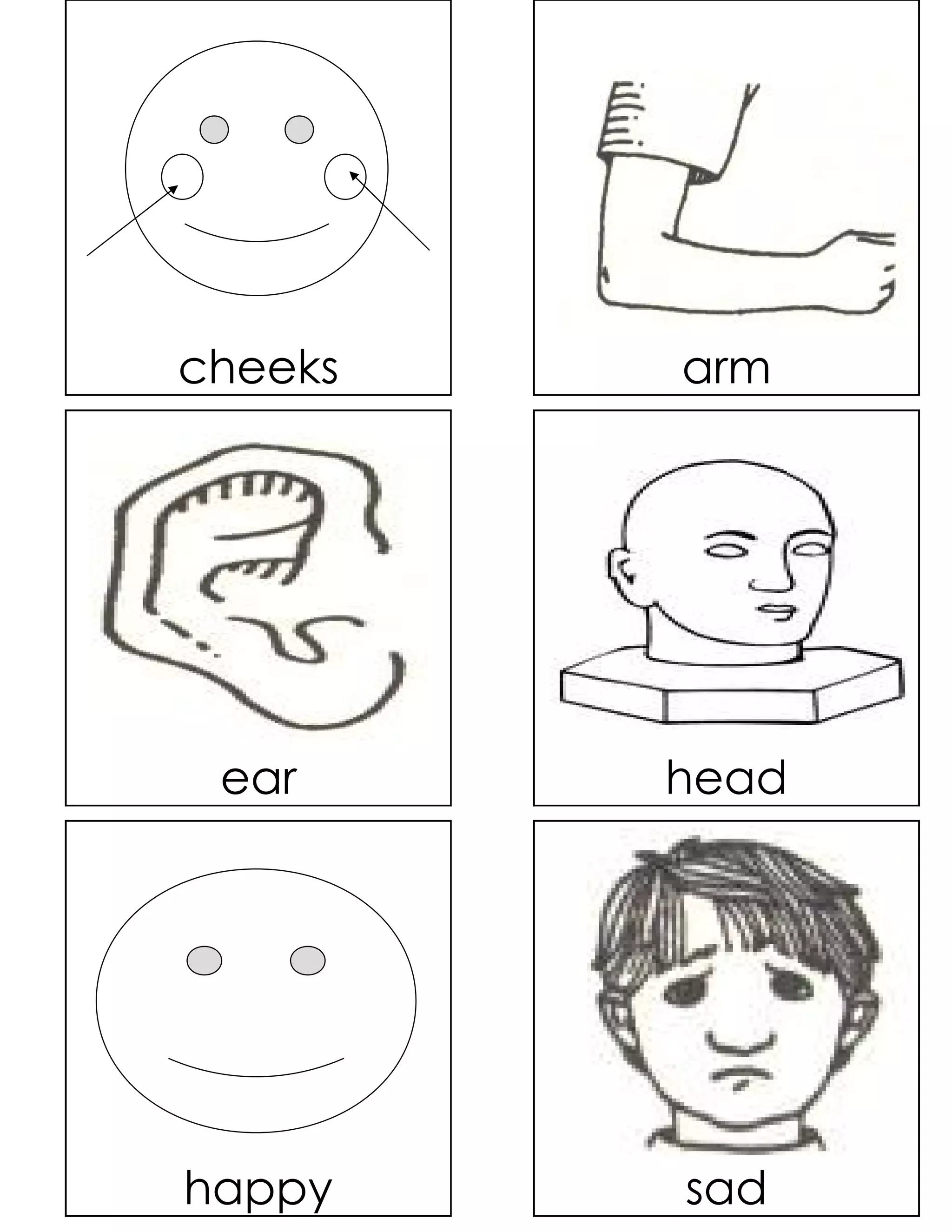 cheeks   arm




 ear     head




happy    sad
 