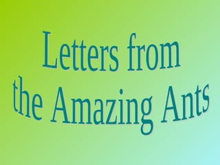 Letters from the Amazing Ants 
