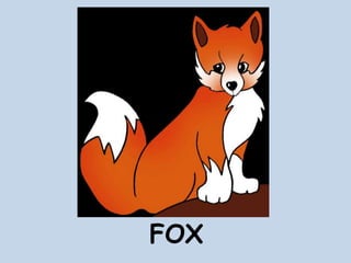 FOX
 