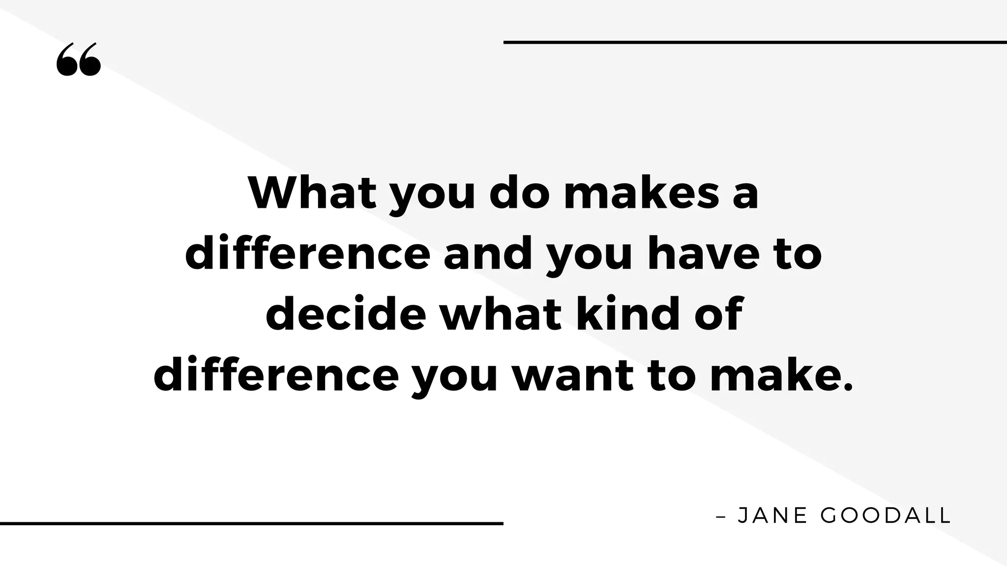 What you do makes a
difference and you have to
decide what kind of
difference you want to make.
– JANE GOODALL
 