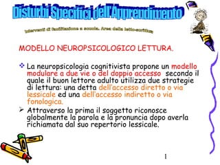 1
MODELLO NEUROPSICOLOGICO LETTURA.
 La neuropsicologia cognitivista propone un modello
modulare a due vie o del doppio accesso secondo il
quale il buon lettore adulto utilizza due strategie
di lettura: una detta dell’accesso diretto o via
lessicale ed una dell’accesso indiretto o via
fonologica.
 Attraverso la prima il soggetto riconosce
globalmente la parola e la pronuncia dopo averla
richiamata dal suo repertorio lessicale.
 