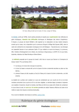 En haut, étang envahi par la Jussie. En bas, curage de l'étang.
Le CCEAGE, porté par l’UPGE, réunit parties prenantes et experts pour expérimenter des méthodes de
génie  écologique,  résoudre  des  difficultés  techniques  et  développer  des  retours  d’expérience.
À  Acigné,  un  groupe  de  travail  CCEAGE  a  été  organisé  sur  la  restauration  de  deux  bassins  tampons
envahis par la Jussie, mis à disposition par la commune d'Acigné à Eiffage Rail Express (ERE), dans le
cadre de la démarche de compensation écologique de la LGV Bretagne – Pays­de­la­Loire. Les échanges
ont rassemblé Dervenn et son partenaire Cardin TP (qui mettent en œuvre les travaux), la commune,
ERE, l’Institut d’Aménagement de la Vilaine, les chercheurs d’Agrocampus, la DDTM 35 et Louis Diard,
botaniste, rédacteur de l'Atlas floristique d’Ille­et­Vilaine.
 La méthode proposée  par  le  groupe  de  travail  a  été  mise  en  œuvre  par  Dervenn  et  l’entreprise  de
travaux Cardin TP au printemps 2016 :
les étangs ont d’abord été vidangés et asséchés ;
le fond du bassin a ensuite été curé et la Jussie et la terre contaminée stockées sur place sur des
bâches ;
plusieurs fosses ont été creusées au fond de l’étang et la Jussie et la terre contaminée y ont été
enterrés.
La  totalité  de  la  surface  est  à  présent  en  cours  de  comblement  par  une  couche  de  30  cm  de  terre
minérale surmontée d'une couche de 20 cm de terre végétale. La dernière étape consistera à implanter
une roselière à l’automne. Durant le chantier, des filtres ont été mis en place afin d'éviter de contaminer
le cours d’eau en aval. Un suivi sur 19 années permettra de valider l'absence effective de Jussie et de
mettre en place des mesures correctives éventuelles.
Pour suivre la réalisation des travaux en photos, suivez ce lien.
Activité de l'UPGE  Prochains rendez­vous 
 