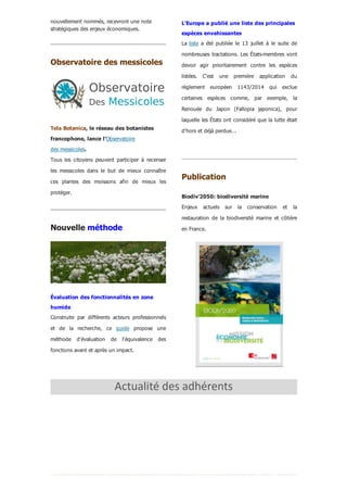 nouvellement nommés, recevront une note
stratégiques des enjeux économiques.
Observatoire des messicoles
Tela Botanica, le réseau des botanistes
francophone, lance l'Observatoire
des messicoles.
Tous  les  citoyens  peuvent  participer  à  recenser
les  messicoles  dans  le  but  de  mieux  connaître
ces  plantes  des  moissons  afin  de  mieux  les
protéger.
Nouvelle méthode
Évaluation des fonctionnalités en zone
humide
Construite  par  différents  acteurs  professionnels
et  de  la  recherche,  ce  guide  propose  une
méthode  d'évaluation  de  l'équivalence  des
fonctions avant et après un impact.
L'Europe a publié une liste des principales
espèces envahissantes 
La liste  a  été  publiée  le  13  juillet  à  le  suite  de
nombreuses tractations. Les États­membres vont
devoir  agir  prioritairement  contre  les  espèces
listées.  C'est  une  première  application  du
règlement  européen  1143/2014  qui  exclue
certaines  espèces  comme,  par  exemple,  la
Renouée  du  Japon  (Fallopia  japonica),  pour
laquelle les États ont considéré que la lutte était
d'hors et déjà perdue...
 
Publication
Biodiv'2050: biodiversité marine
Enjeux  actuels  sur  la  conservation  et  la
restauration  de  la  biodiversité  marine  et  côtière
en France.
 