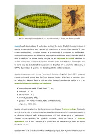 Des indicateurs hydrobiologiques : à gauche, une diatomée, à droite, une larve d'Éphémère.
Aquabio travaille depuis près de 10 années dans la région. Une équipe d'hydroécologues chevronnés et
qualifiés  sera  donc  présente  pour  répondre  aux  exigences  de  la  clientèle  locale:  agences  de  l'eau,
conseils  départementaux,  industriels,  syndicats  et  communautés  de  communes,  etc.  Prélèvements,
traitements  des  échantillons  au  laboratoire  et  interprétations  des  résultats  seront  dorénavant  réalisés  à
partir  de  Besançon.  Ce  nouveau  site  ne  dérogera  pas  aux  exigences  de  qualité  défendues  par
Aquabio, pionnier dans la mise en œuvre d'une assurance­qualité en hydrobiologie. Comme pour tous
les  autres  sites,  des  évaluations  techniques  seront  ici  diligentées  par  un  organisme  indépendant,  le
COFRAC, et permettront de garantir à nos clients la qualité des prestations réalisées.
Aquabio  développe  son  savoir­faire  sur  l'ensemble  du  territoire  métropolitain  depuis  1998.  Le  bureau
d'études est implanté sur cinq sites: Sud­Ouest, Auvergne, Sud­Est, Île­de­France et maintenant Nord­
Est.  Aujourd’hui,  AQUABIO  réalise  le  suivi  des  milieux  aquatiques  continentaux,  rivières  et  lacs,  sur
l'ensemble des supports biologiques disponibles :
macroinvertébrés : IBGN, IBG­DCE, IBGA­DCE, IBL ;
diatomées : IBD, IPS ;
phytoplancton : IPL ;
macrophytes : IBMR, IBML ;
poissons : IPR, Pêche d'inventaire, Pêche aux filets maillants ;
oligochètes : IOBS, IOBL.
Aquabio  est  aussi  compétent  sur  des  domaines  connexes  tels  que  l'hydromorphologie  (protocoles
CarHYCE et AuRaH­CE), les prélèvements d'eaux de surface et souterraines, les inventaires biologiques et
les  pêches  de  sauvegarde.  Grâce  à  la  création  depuis  2012  d'un  pôle  Recherche  et  Développement,
AQUABIO  propose  également  des  approches  innovantes,  comme  par  exemple  un  protocole
expérimental pour le suivi, l'évaluation et la bio­indication des mares et étangs, milieux encore très
peu étudiés à ce jour.
Passée en statut SCOP (Société Coopérative et Participative) depuis 2007, AQUABIO compte aujourd’hui
 