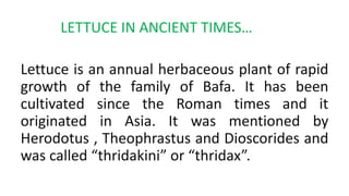LETTUCE IN ANCIENT TIMES…
Lettuce is an annual herbaceous plant of rapid
growth of the family of Bafa. It has been
cultivated since the Roman times and it
originated in Asia. It was mentioned by
Herodotus , Theophrastus and Dioscorides and
was called “thridakini” or “thridax”.
 