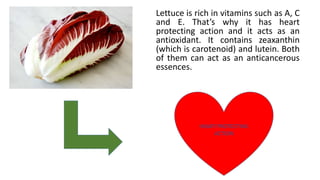 Lettuce is rich in vitamins such as A, C
and E. That’s why it has heart
protecting action and it acts as an
antioxidant. It contains zeaxanthin
(which is carotenoid) and lutein. Both
of them can act as an anticancerous
essences.
HEART PROTECTING
ACTION
 