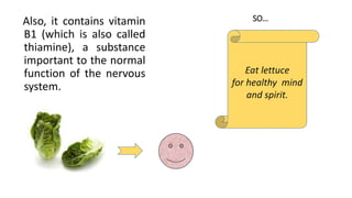 SO…Also, it contains vitamin
B1 (which is also called
thiamine), a substance
important to the normal
function of the nervous
system.
Eat lettuce
for healthy mind
and spirit.
 