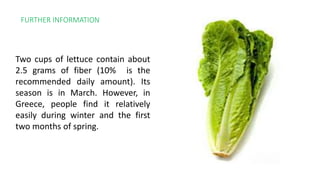 FURTHER INFORMATION
Two cups of lettuce contain about
2.5 grams of fiber (10% is the
recommended daily amount). Its
season is in March. However, in
Greece, people find it relatively
easily during winter and the first
two months of spring.
 